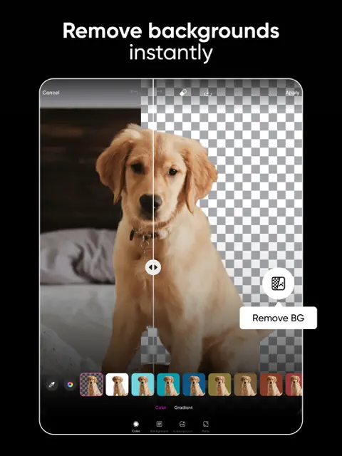 Picsart background remover isolating a subject from an image